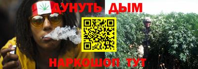 шишки Севастополь