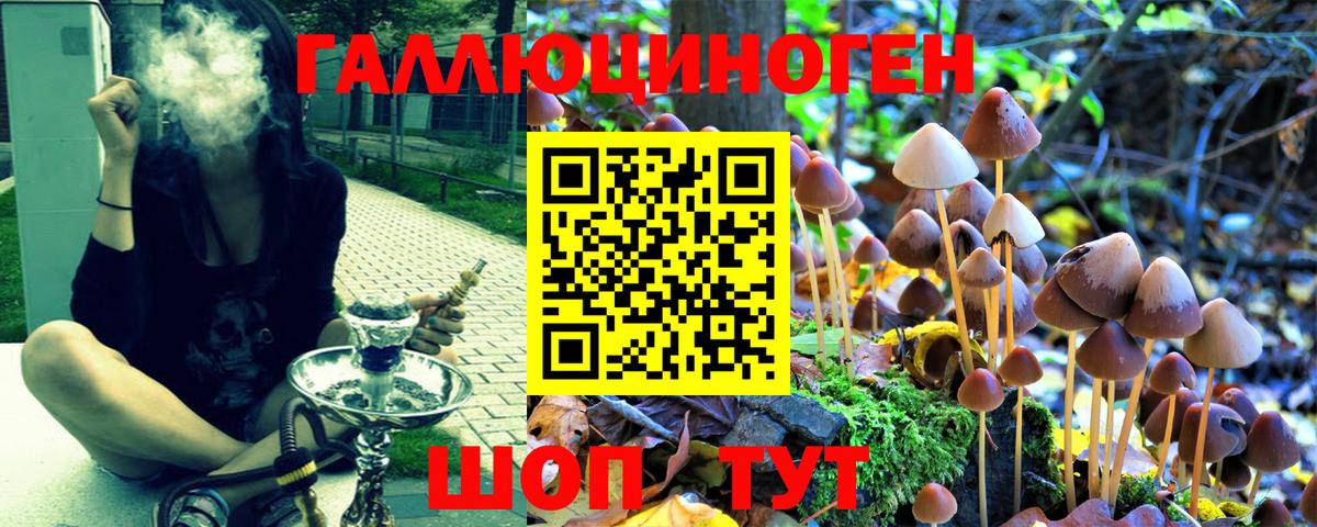 Псилоцибиновые грибы GOLDEN TEACHER Сибай