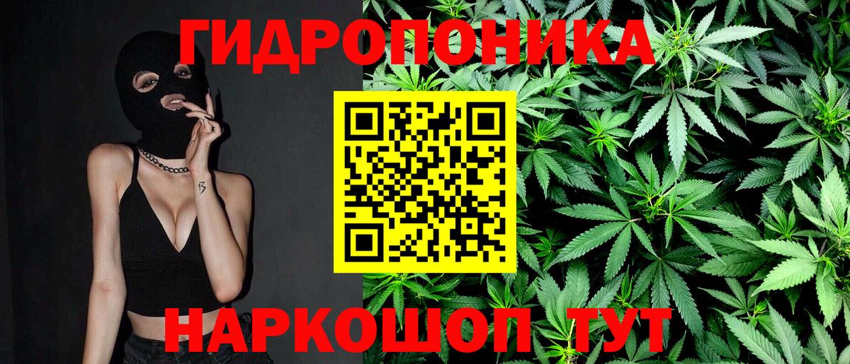 Шишки марихуана Amnesia Сибай